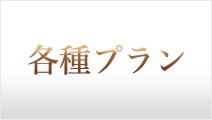 各種プラン